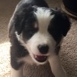Cola Johnson - @cdj169lbs - Instagram