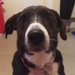 ColaScott - @colascott6 - Instagram
