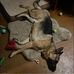 Colan Kellogg - Facebook