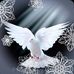 Gilbert Guerra - Facebook