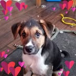 Donna Colbert Miller - Facebook