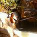 Colbi Johnson - Facebook