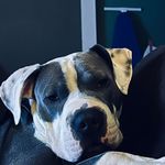 Colby Anthony - @colby.anthony1 - Instagram