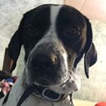 Colby Barnes - @colby_spam_barnes - Instagram