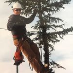 Colby Barnes - @barnes_tree_services - Instagram
