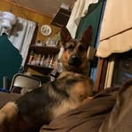Colby Pyatte - Facebook