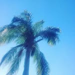 @colbybenton___ - Instagram