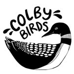 Colby Birds - @colbybirds - Instagram