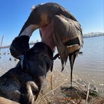 Colbybirdwell - @colbybirdwell4 - Instagram