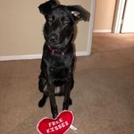 Colby Black Paw - @colbyblackpaw - Instagram