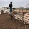 user883300838043 - @colby.bowers - TikTok