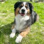 Colby Cole Warnock - @warcolby - Instagram