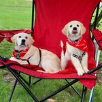 Duke and Colby - @dukeandcolby_ - Instagram
