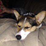 Colby Dyce Ferguson - @fergusonfarms2555 - Instagram