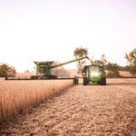 Colby Ferguson - @colbyferguson3 - Instagram
