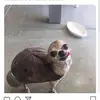 Colby Ferguson - @colbyferguson7 - TikTok