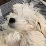 Colby Gillis - @colby_gillis_ - Instagram