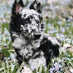 Colby Glenn - @colby_glenn_04 - Instagram