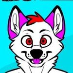 Colby Kent - @taromaru.the.wolf - Instagram