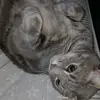 colby - @w.key.colby.12345 - TikTok