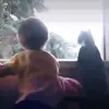 colby koch - @colbykoch - TikTok