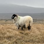 Colby Kramer - @colbykramer03 - Instagram
