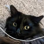 Colby Kramer - @admittedlyautistic - Instagram