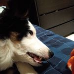 Colby Kramer - @colby_kramer1_ - Instagram