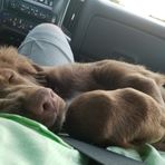 Colby Krueger - Facebook