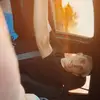 COLBY LAMBERTSEN - @colbylambertsen - TikTok