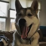 Colby Lambert - @giveitallfx - Instagram