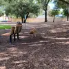 Kolby Lambert - @kolbylambertt - TikTok