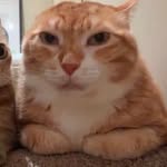 Colby Langbecker - @colbylangbecker - Instagram