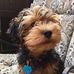 Colby Lawrence - Facebook