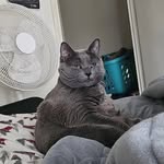 Colby Leavitt - @colbithicus.cheesington - Instagram
