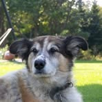 Colby Leclair - Facebook