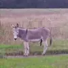 colbylester3 - @colby.lester5 - TikTok