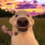 colby lineberry - @_colbylineberry - Instagram