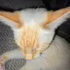 Colby Love - @colby..love04 - TikTok