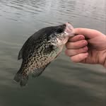 colby lowery - @colby61 - Instagram