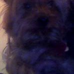 Colby Macias - Facebook