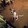 Colby@stephanie - @colbymallory007 - TikTok