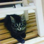 Colby Marsh - @colby_03_18_17 - Instagram