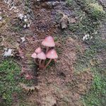 Colby Marsh - @3pointslowlife - Instagram
