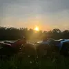 colbymason89 - @colbymason89 - TikTok