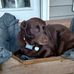 Colby Mathis - Facebook
