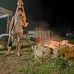 Colby Matheson - Facebook