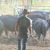 ColbyMatson - @colbymatson94 - TikTok