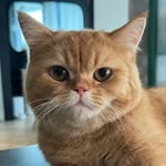 Colby B. Curtis - @colby__maybe - Instagram