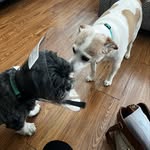 Colby Mayer - @colbymmayer - Instagram